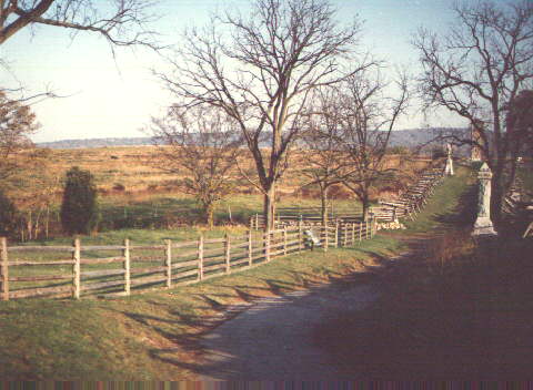 The Sunken Road